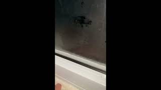 New Anderson Storm Door leaks [upl. by Myrtle]