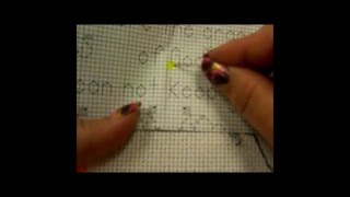 Counted Cross Stitch Part Two  Stitching [upl. by Kemppe]