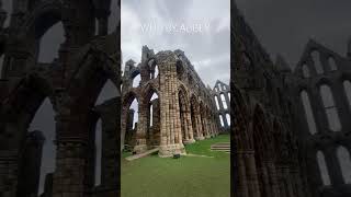 travel explore adventure whitby whitbyabbey epic ruins history incredible [upl. by Creath]