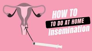 How to perform At Home Insemination [upl. by Quincy]