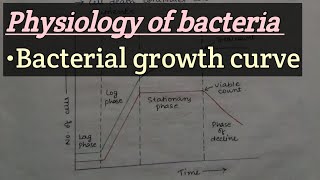 General Bacteriology  Bacterial growth curve  Physiology of bacteria  Easy concept [upl. by Annelg]