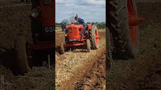 Nuffield Universal DM4 Tractor at Lutterworth Ploughing Practice Day 14th April 2024 [upl. by Reine]