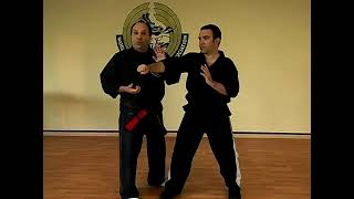 Flashing Wings Kenpo Karate Techniques [upl. by Laureen]