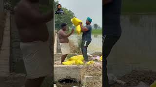 sada Punjabi sher gabroo zamindar farmerjatt punjabi [upl. by Anivek961]