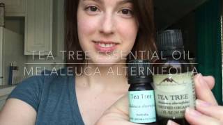 Tea Tree Oil  3 DIY Recipes [upl. by Sinne273]