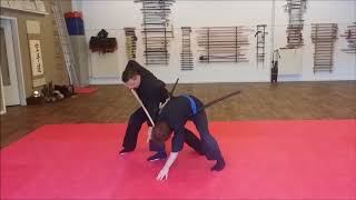 Bujinkan Budo Taijutsu at Sam Lung Martial Arts Shidoshi ho Patrick Baas [upl. by Aztiram493]