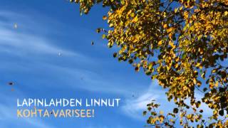 Lapinlahden Linnut  Kohta Varisee [upl. by Aw]