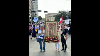 Celebracion Guadalupana y el 51 Aniversario en el centro de Houston Tx [upl. by Nyleda]