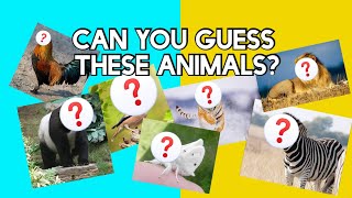 Guess the Hybrid Animal Challenge  Funny Family amp Friends Game [upl. by Nodroj710]