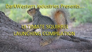 Ultimate Squirrel Launching Compilation [upl. by Edahs]