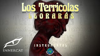 Los Terricolas  Llorarás Instrumental Cover Video [upl. by Odom]