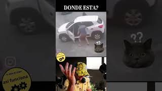 PERO DONDE ESTA el CICLISTA REACCIONES DE HUMOR [upl. by Melena]