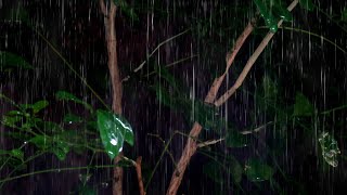 Goodbye Stress And Insomnia To Sleep Instantly With Sounds of Heavy Rain amp Thunder [upl. by Meagher]