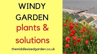 Windy garden plants and solutions [upl. by Wilie740]