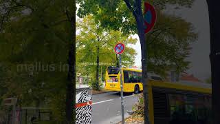 Parking in a bus lane or on a road designated for buses in Germany can lead to significant fines [upl. by Koslo829]