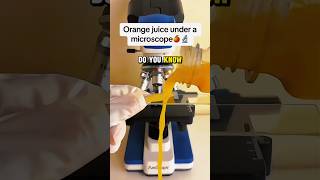 What underorange juice🤯 looked like this 👀🤯 orange shots shorts scienceexperiment [upl. by Filmore]