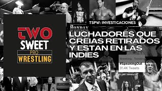 LUCHADORES QUE CREÍAS RETIRADOS Y ESTÁN EN LAS INDIES WRESTLING [upl. by Anirod577]