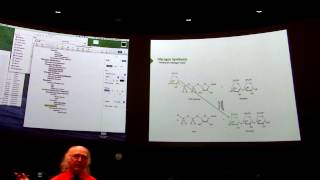 Glycogen Metabolism II  Kevin Aherns BB 450 Lecture 27 2016 [upl. by Murry]