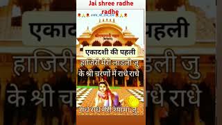 Jo Tu Mere Ho radheradhe shreerambhaktisong kirtan shortvideo rambhajan [upl. by Ahsirtap]