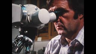 quotLife Story of the Parameciumquot 70s science film 16mm [upl. by Malamut]