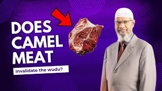 Does camel meat invalidate the wudu  Dr Zakir Naik [upl. by Vipul]