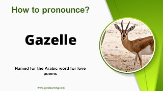 How to pronounce Gazelle in English Correctly [upl. by Reffineg179]