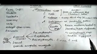 Antimalarial Drugs malariatreatment malaria drugs pharmacology [upl. by Zaneski]