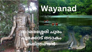 Wayanad tourLakkidi view pointThamarassery ChuramChangala MaramKarinthandan Pookode Lake [upl. by Casilda]