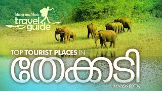 Thekkady  തേക്കടി  Travel Guide  Kerala Travel Places  തേക്കടിയിലെ മനോഹരകാഴ്ചകൾ [upl. by Aninep909]