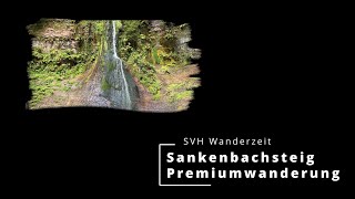 Premiumwanderung Sankenbacksteig in Baiersbronn im Schwarzwalds  Preview [upl. by Paolo655]