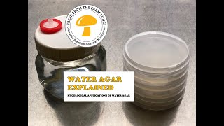 Water Agar Explained Mycological applications of water agar [upl. by Eatnom]