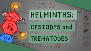 Helminths Cestodes and Trematodes transmission clinical importance and treatment [upl. by Irv667]