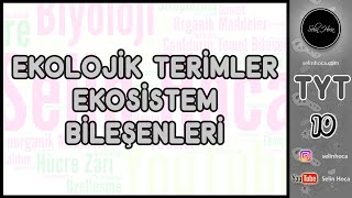 15 Ekolojik Terimler ve Ekosistem Bileşenleri [upl. by Llenyt]