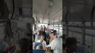 Bus masti [upl. by Catie]