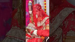 ytshortsvideo royalrajputanaculture wedding marwadisong viralvideo [upl. by Caravette]