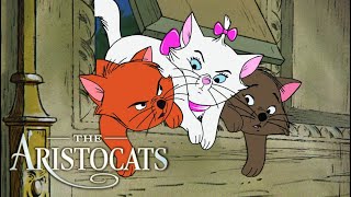 The Aristocats  Trailer HD [upl. by Shaylah579]