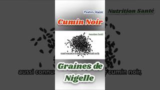 Bienfaits Graines de nigelle Cumin Noir Thymoquinone nigella graine plante huile antioxydantinflam [upl. by Paxon836]