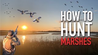 5 Tips for Duck Hunting Shallow Water Marshes 2022 Season [upl. by Meehyrb]