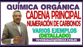 Depresión y cerebro actores de una dramática enfermedad [upl. by Llieno]