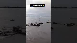 Bihar me barh ka pani bihar viralvideo trending [upl. by Aynodal53]