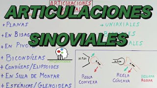 Las Articulaciones Sinoviales  Clasificación y ejemplos [upl. by Ittam]