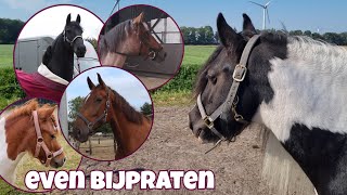 LEUK NIEUWS even bijpraten vlog 181 [upl. by Akkeber506]