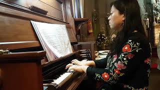 Alleluia from Exsultate Jubilate By Mozart Organist Ms Miran Kim Sung by Mrs Payal John [upl. by Arbua]