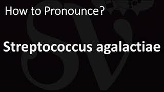 How to Pronounce Streptococcus agalactiae CORRECTLY [upl. by Puri]