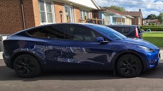 quotTesla Pet Liner Review Best Dog Protection for Your Model Y  Easy Install amp Durable [upl. by Lalittah]