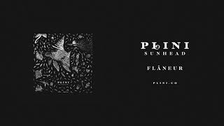 Plini – Flâneur Audio [upl. by Gunnar186]