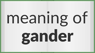 Gander  meaning of Gander [upl. by Maddeu]