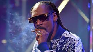 Snoop Dogg  Conflicted feat Nas remix 2023 [upl. by Mauro]