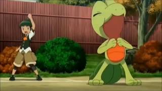 Sceptile AMV [upl. by Eislehc427]