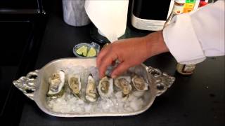 Raw Oysters on the Half Shell Recipe [upl. by Otsenre]